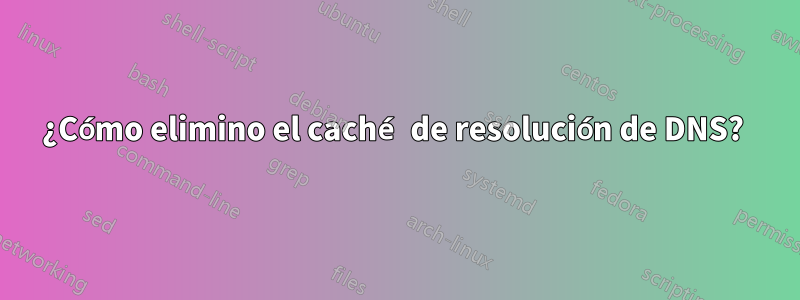 ¿Cómo elimino el caché de resolución de DNS? 