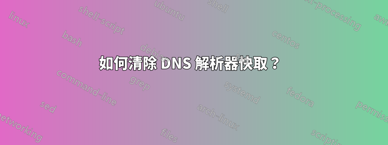 如何清除 DNS 解析器快取？ 