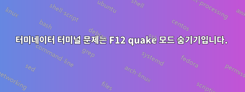 터미네이터 터미널 문제는 F12 quake 모드 숨기기입니다.