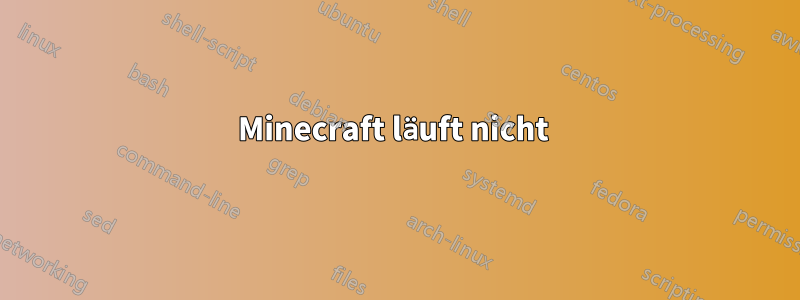 Minecraft läuft nicht 