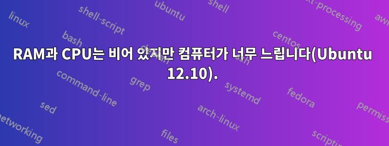 RAM과 CPU는 비어 있지만 컴퓨터가 너무 느립니다(Ubuntu 12.10).