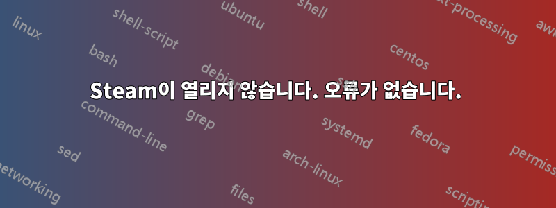 Steam이 열리지 않습니다. 오류가 없습니다.