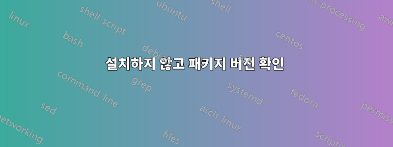 설치하지 않고 패키지 버전 확인