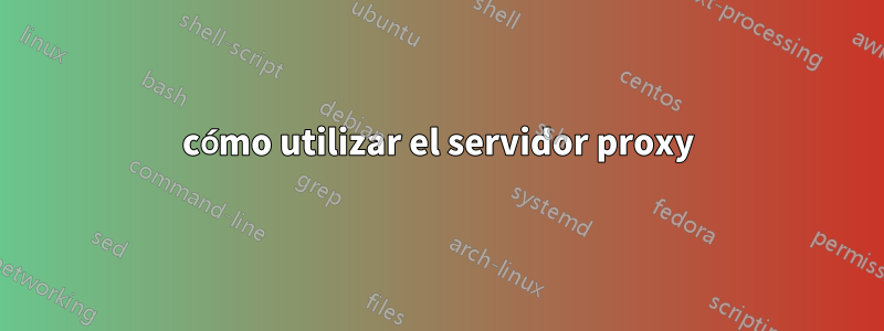 cómo utilizar el servidor proxy