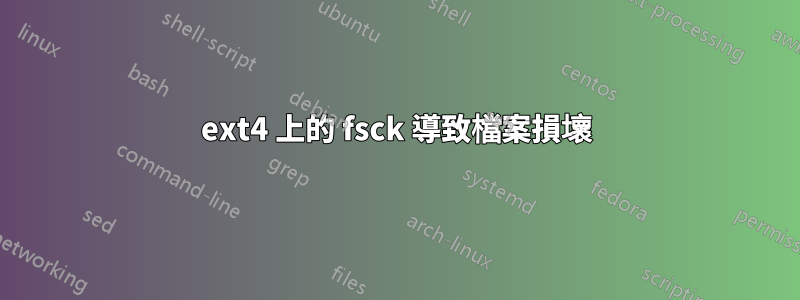 ext4 上的 fsck 導致檔案損壞