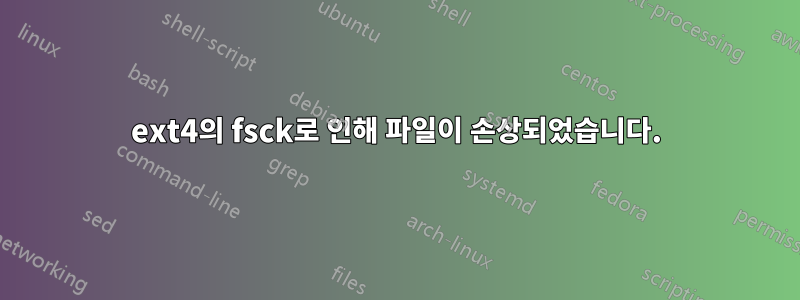 ext4의 fsck로 인해 파일이 손상되었습니다.