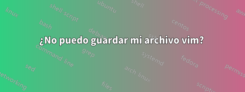 ¿No puedo guardar mi archivo vim?