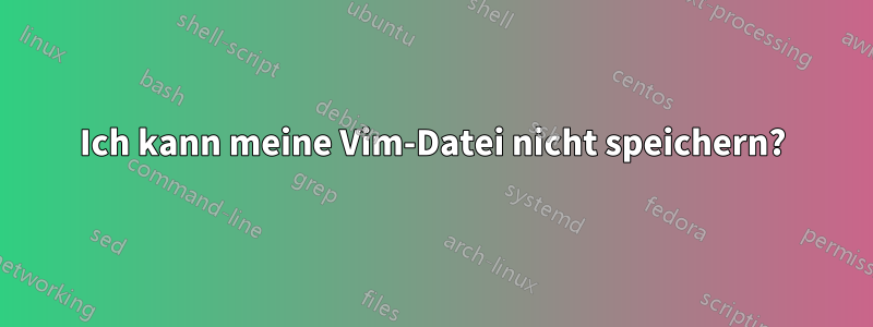 Ich kann meine Vim-Datei nicht speichern?