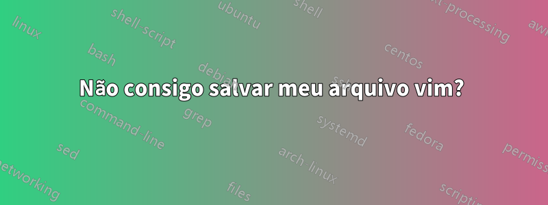 Não consigo salvar meu arquivo vim?