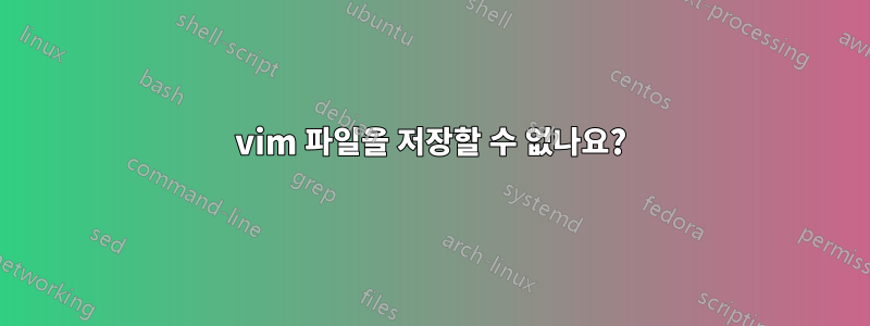 vim 파일을 저장할 수 없나요?