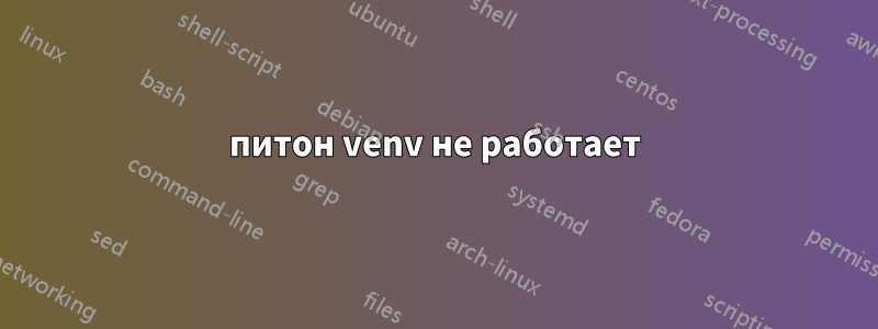 питон venv не работает