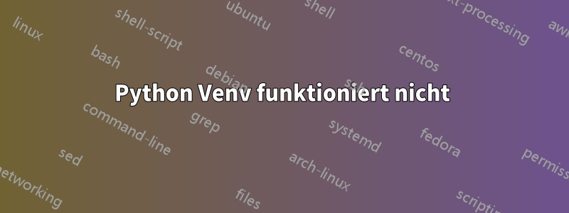 Python Venv funktioniert nicht