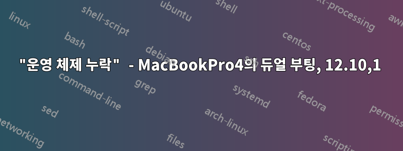 "운영 체제 누락" - MacBookPro4의 듀얼 부팅, 12.10,1