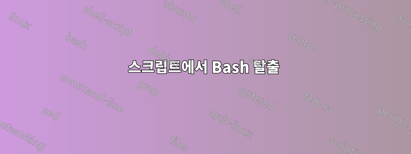 스크립트에서 Bash 탈출