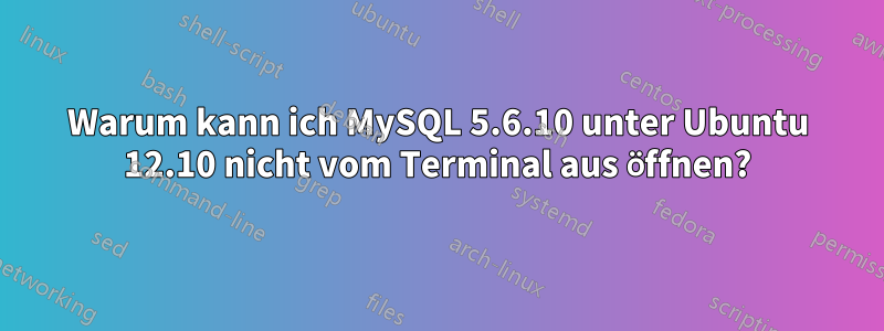 Warum kann ich MySQL 5.6.10 unter Ubuntu 12.10 nicht vom Terminal aus öffnen?