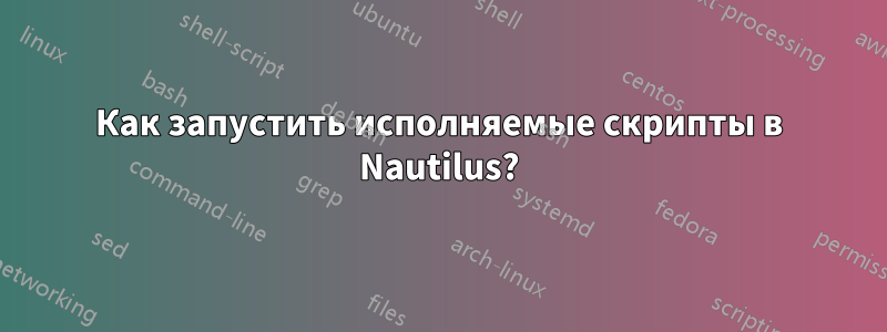 Как запустить исполняемые скрипты в Nautilus?