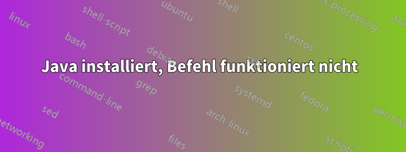 Java installiert, Befehl funktioniert nicht 