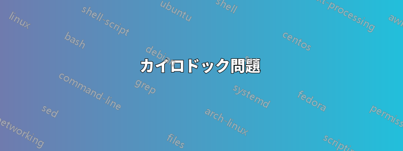 カイロドック問題