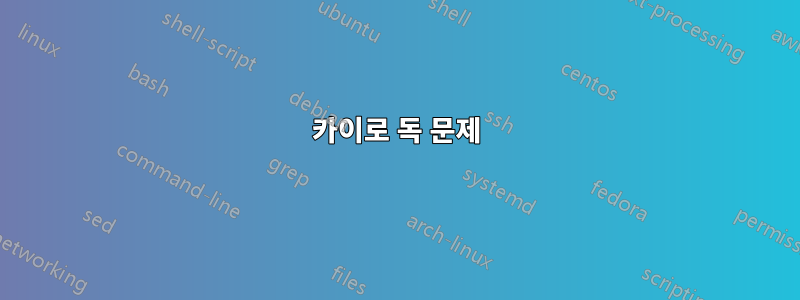 카이로 독 문제