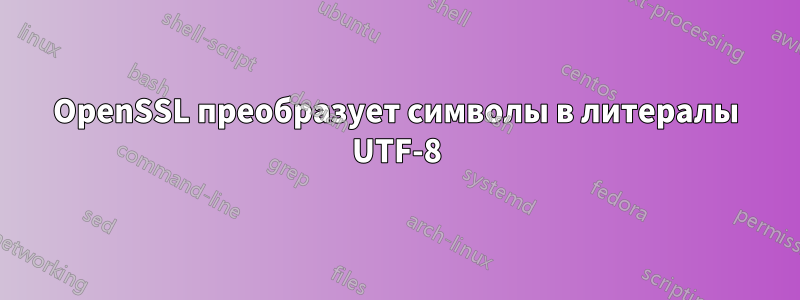 OpenSSL преобразует символы в литералы UTF-8