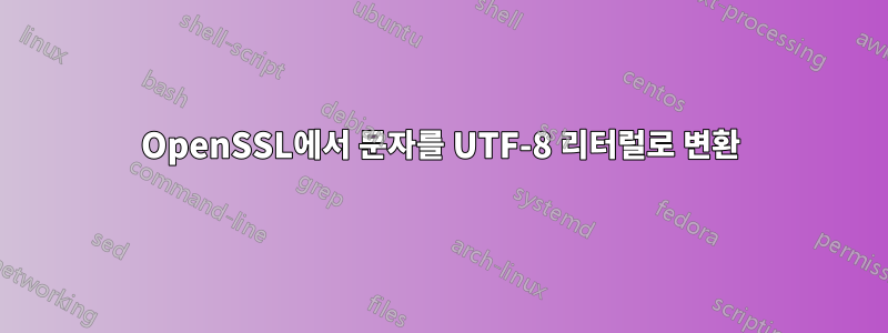 OpenSSL에서 문자를 UTF-8 리터럴로 변환