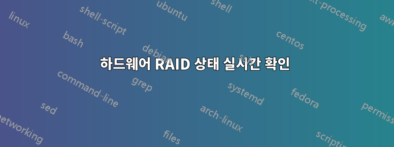 하드웨어 RAID 상태 실시간 확인