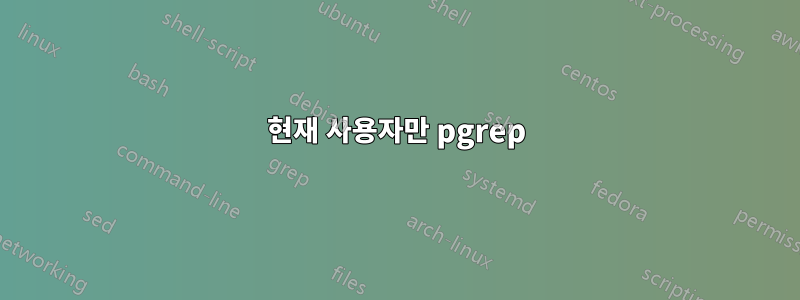현재 사용자만 pgrep