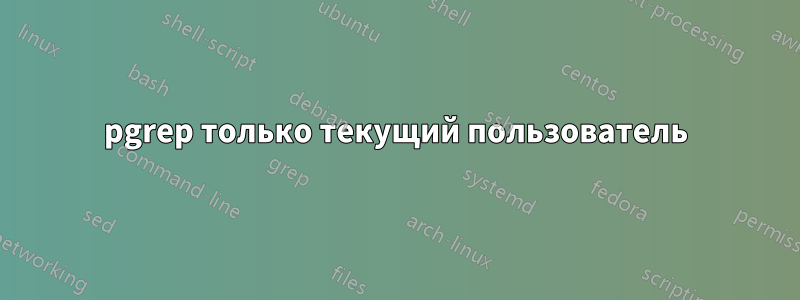 pgrep только текущий пользователь