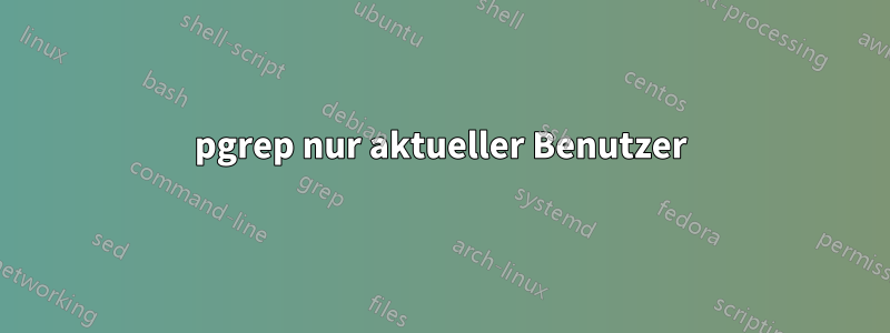 pgrep nur aktueller Benutzer