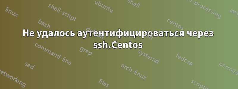 Не удалось аутентифицироваться через ssh.Centos