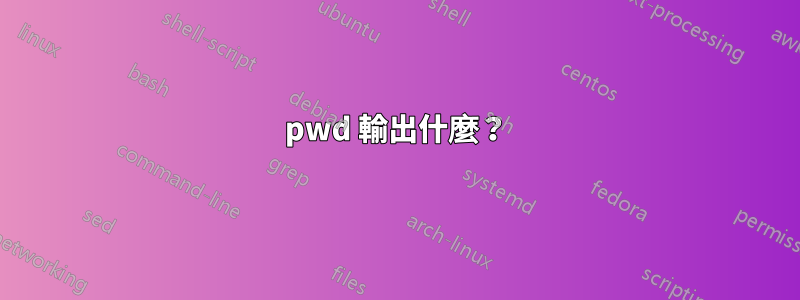 pwd 輸出什麼？