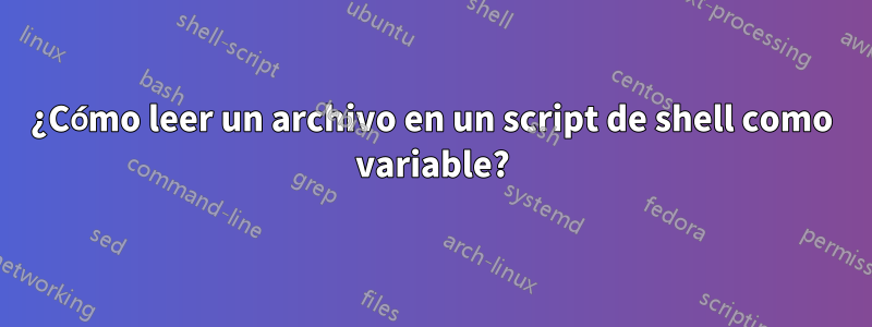 ¿Cómo leer un archivo en un script de shell como variable?