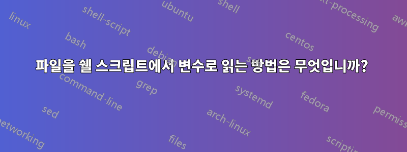 파일을 쉘 스크립트에서 변수로 읽는 방법은 무엇입니까?