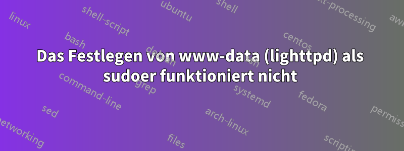 Das Festlegen von www-data (lighttpd) als sudoer funktioniert nicht
