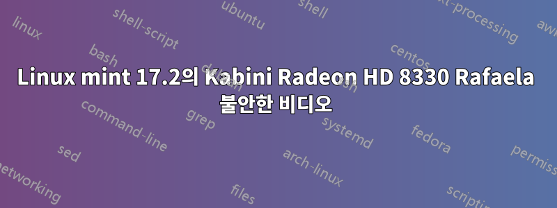 Linux mint 17.2의 Kabini Radeon HD 8330 Rafaela 불안한 비디오