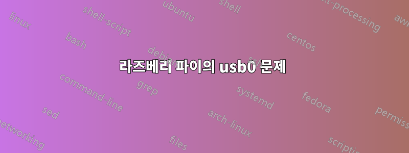 라즈베리 파이의 usb0 문제