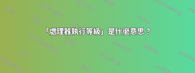 「處理器執行等級」是什麼意思？