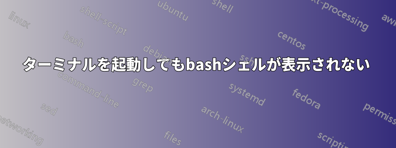 ターミナルを起動してもbashシェルが表示されない