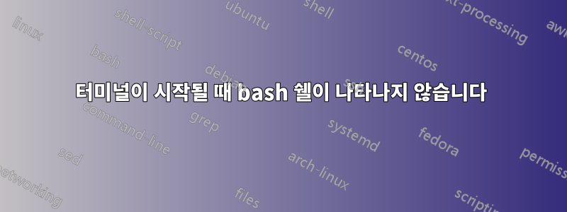 터미널이 시작될 때 bash 쉘이 나타나지 않습니다