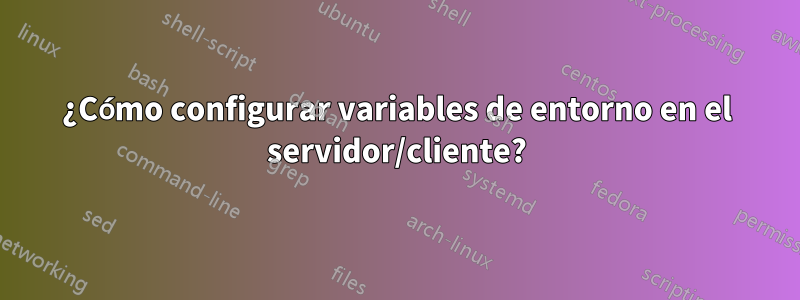 ¿Cómo configurar variables de entorno en el servidor/cliente?