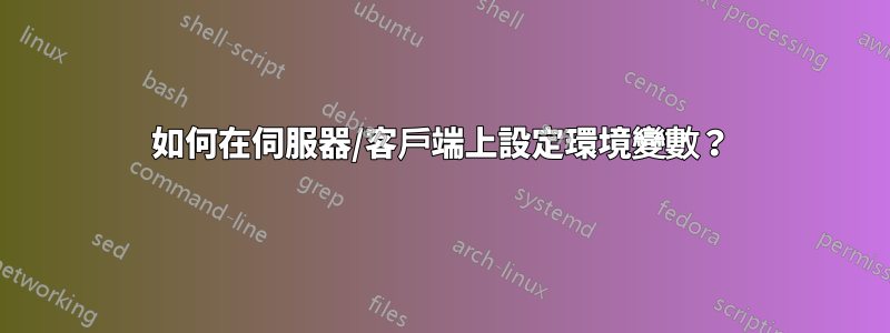 如何在伺服器/客戶端上設定環境變數？