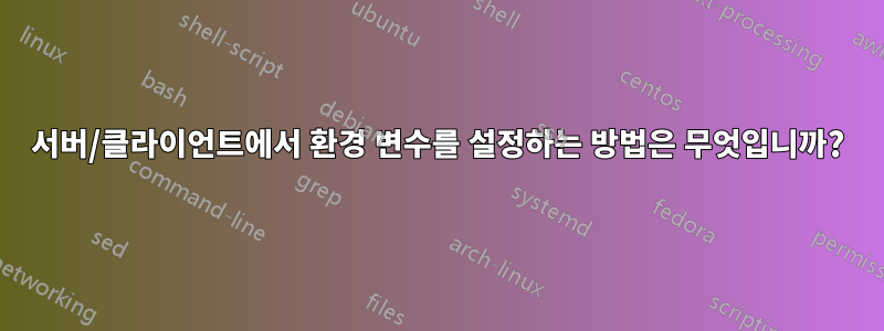 서버/클라이언트에서 환경 변수를 설정하는 방법은 무엇입니까?