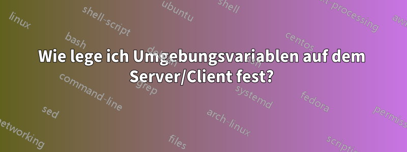 Wie lege ich Umgebungsvariablen auf dem Server/Client fest?