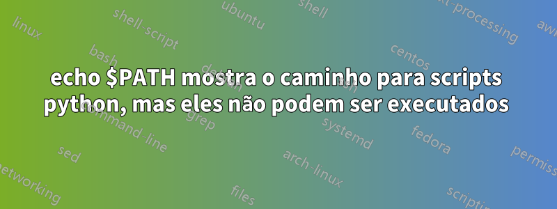 echo $PATH mostra o caminho para scripts python, mas eles não podem ser executados