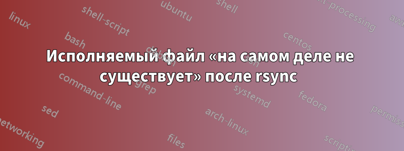 Исполняемый файл «на самом деле не существует» после rsync 