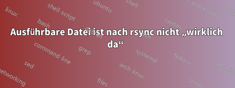 Ausführbare Datei ist nach rsync nicht „wirklich da“ 