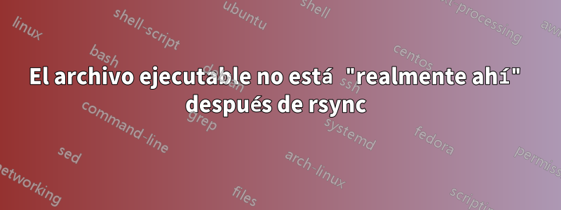 El archivo ejecutable no está "realmente ahí" después de rsync 