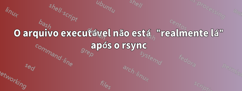 O arquivo executável não está "realmente lá" após o rsync 