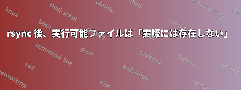 rsync 後、実行可能ファイルは「実際には存在しない」 