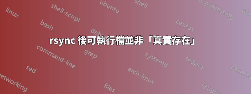 rsync 後可執行檔並非「真實存在」